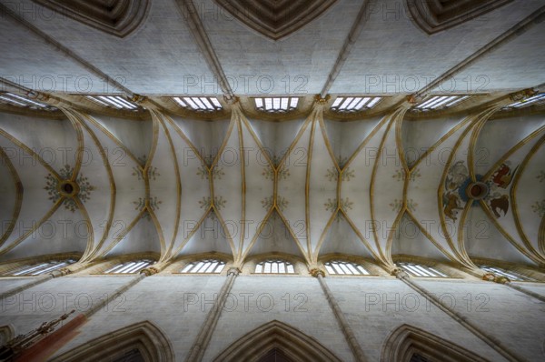 Interior photo, vaulted ceiling, church ceiling, central nave, interior view, Cathedral of Our Lady