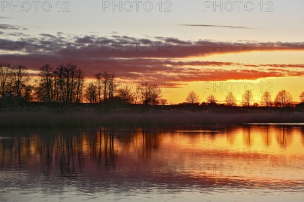 Peaceful sunset with orange sky and reflection of trees in water, Peenetal nature park Park,