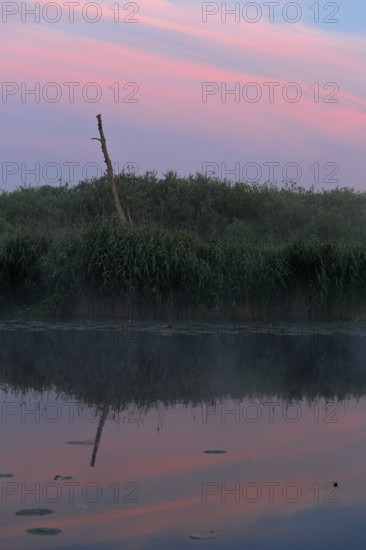 Pink and blue sky reflected peacefully in the water, Peenetal nature park Park, Mecklenburg-Western