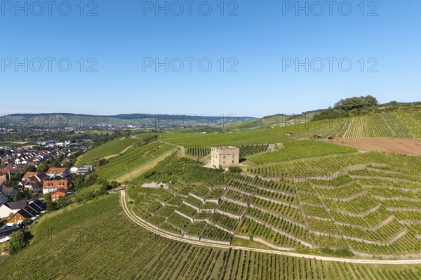 Vineyards with a stone house, on the edge of a village, in a summer landscape, Y-Burg, Stetten im