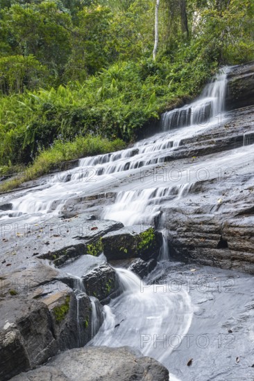 Derema Waterfall flows through thick vegetation, tropical rainforest in Amani Nature Forest