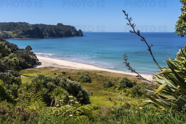 Landscape with sea and sandy beach in New Zealand. View of Hot Water Beach. Hot Water Beach,