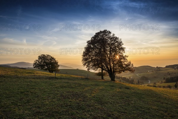 Weather forecast in autumn, sunset, Schauinsland, Freiburg im Breisgau, Black Forest,