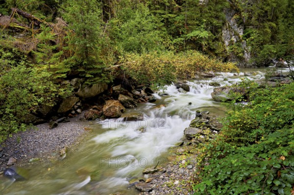 Diosaz mountain river in the gorge, Gorges de la Diosaz, Les Houches, Chamonix-Mont-Blanc,