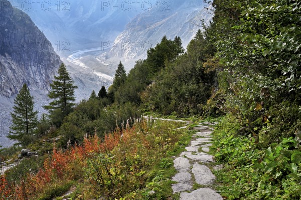 Hiking trail in autumn-colored surroundings with the Mer de Glace glacier, Mont-Blanc,