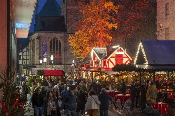 Christmas market in Essen, gastronomy, fire forest, at Essen Cathedral, Kettwiger Straße shopping