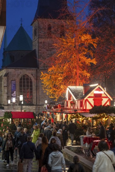Christmas market in Essen, gastronomy, fire forest, at Essen Cathedral, Kettwiger Straße shopping