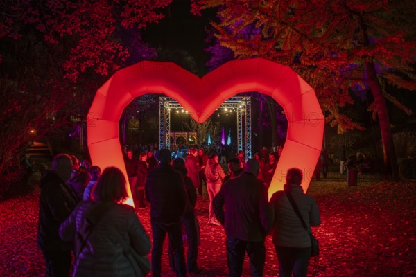 Light art, light installation, illuminated sculptures in the city garden of the city of Radolfzell