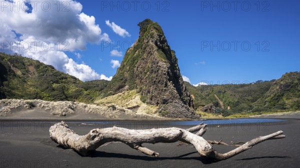 Landscape in New Zealand with sandy beach. Karekare Beach and The Watchman Rock. Karekare,