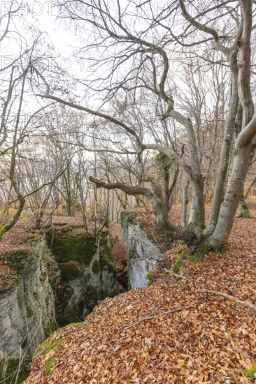 Low sun illuminates the rocks and caves of hell holes in the autumnal landscape of Dettingen an der