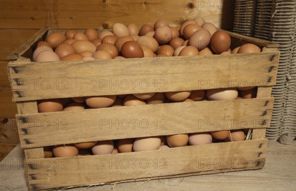 Natural fresh eggs in wooden boxes prepared by the farm for regional sale