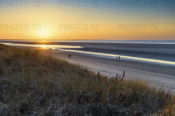 Dunes and blue sky in winter, sunset, Spiekeroog, East Frisian Islands, Lower Saxony, Germany