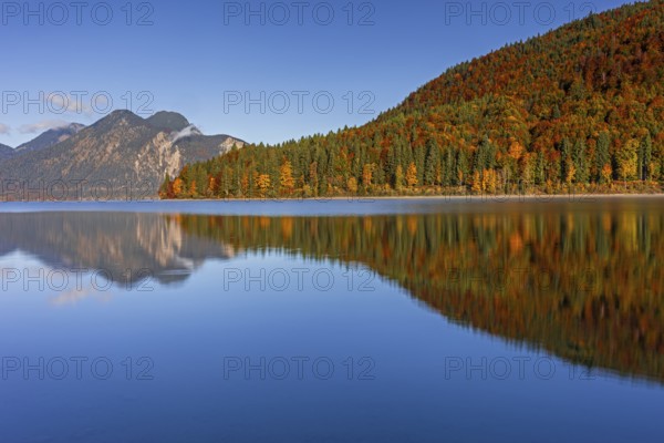 Mountain lake, mountains, morning light, reflection, autumn, autumn color, forest, shore,