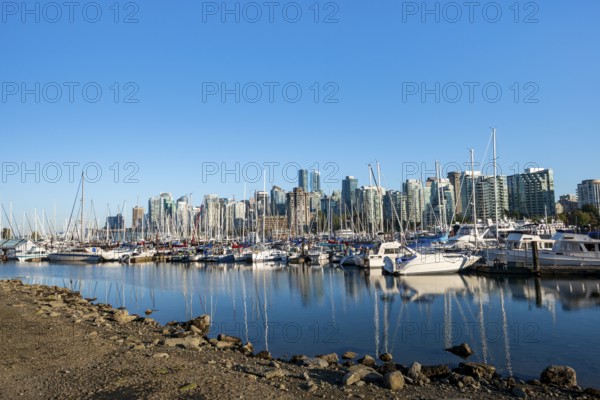Skyscrapers yachts and sailboats in the marina, Vancouver skyline reflected in the ocean, Coal