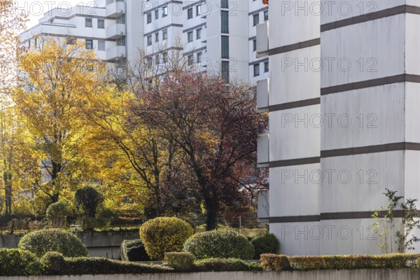 Residential complex in autumn. Colourful shrubs contrast with the dreary façade of the buildings.