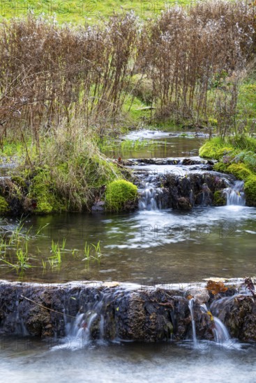 Sinterterrassen der Weißen Lauter, Bach, Water, Autumn, Donntal, Gutenberg, Swabian Jura,