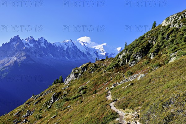 Autumnal landscape with snow-covered Mont Blanc massif in the background, Chamonix-Mont-Blanc,