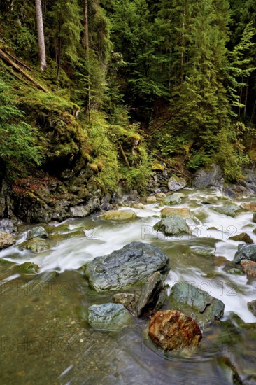 Diosaz mountain river in the gorge, Gorges de la Diosaz, Les Houches, Chamonix-Mont-Blanc,
