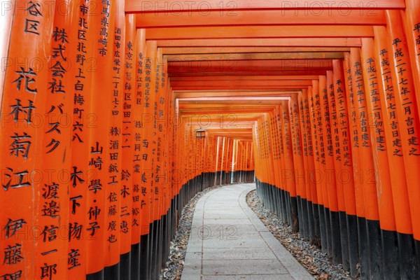 Walk through hundreds of red traditional torii gates, Fushimi Inari Taisha, Shinto Shrine, Fushimi