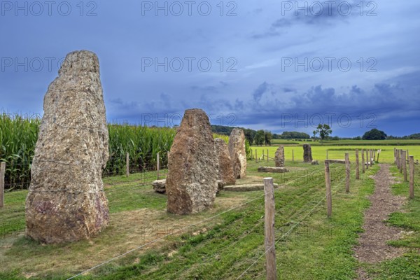 Menhirs, standing stones of conglomerate at Champ de la Longue Pierre in Wéris, Durbuy, province of