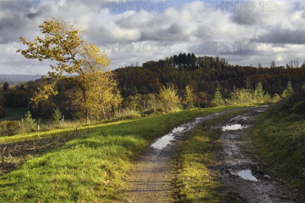 Muddy trail with puddles leads through autumnal landscape with clouds, Kreuztal Siegerland