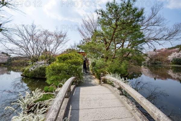 Bridge over Kyoyochi Pond in Japanese Garden, blooming cherry trees, Ryoan-ji, Zen Buddhist temple