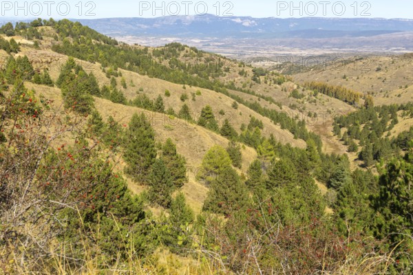 Countryside landscape view from Puerto de Sos hills south of Sos del Rey Catolico, Cinco Villas