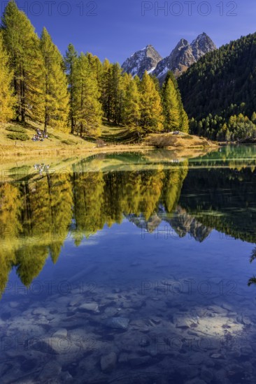 Mountain lake, reflection, mountains, larch forest, autumn discoloration, autumn, sunny, Lake