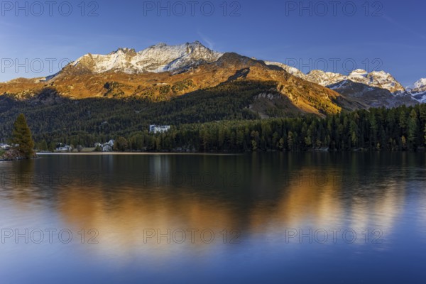 Mountains are reflected in lake, evening light, larch, autumn, autumn color, Lake Sils, Engadin,