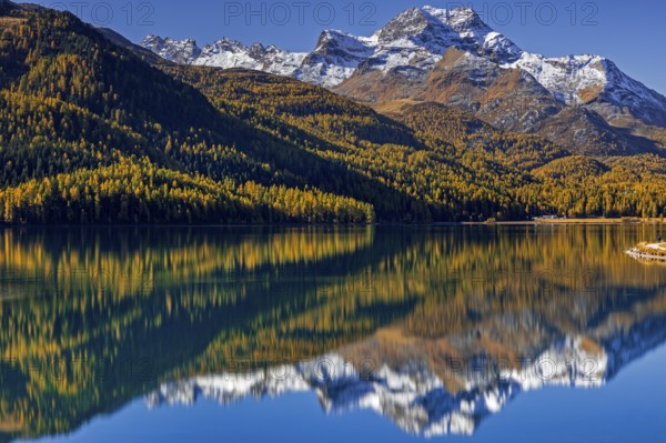 Mountain lake, reflection, mountains, larch forest, autumn discoloration, autumn, sunny,