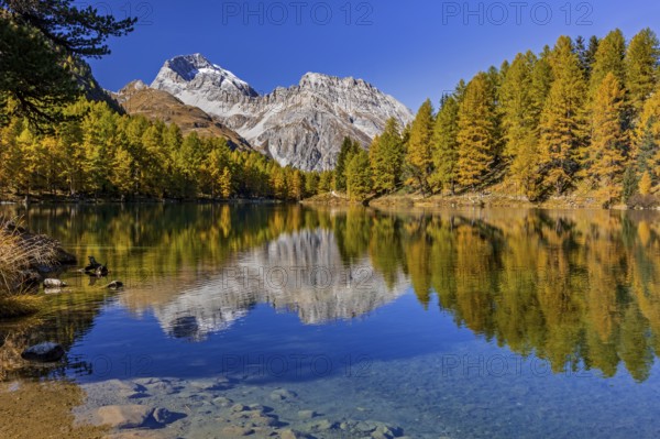 Mountain lake, reflection, mountains, larch forest, autumn discoloration, autumn, sunny, Lake