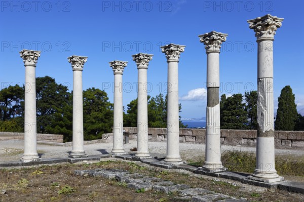 Middle terrace, Apollo temple columns, Asclepieion, Latin Aescupium, three terraces, place of