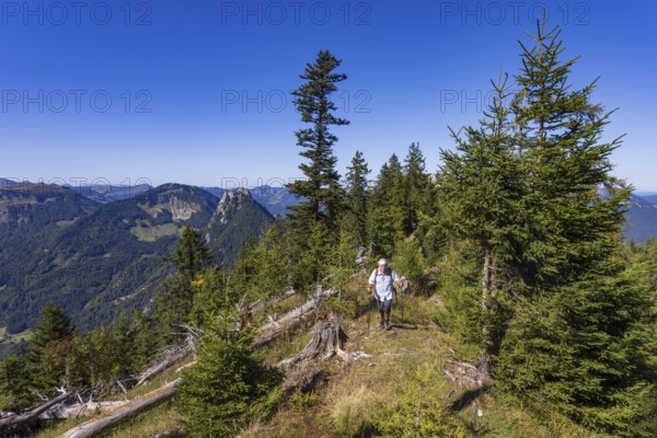 Hikers on the way to Rettenkogel, Postalm, Osterhorn Group, Salzkammergut, Province of Salzburg,