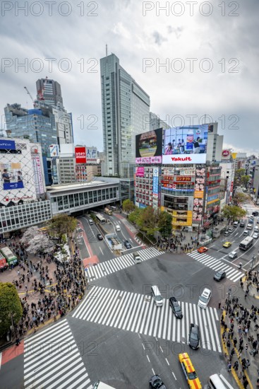 Modern houses with colorful neon signs and large road intersection, Shibuya Crossing from above,