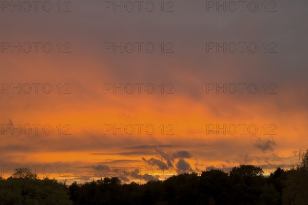 Fiery red evening sky with gray Cumulus fractus clouds above forest edge, Nimbostratus above,