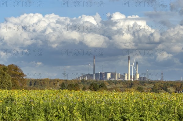 Symboldild with clouds Cumulus calvus for wind energy at the top, Uniper power plant with fossil