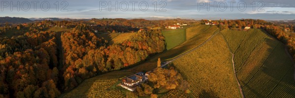 Panorama, aerial view, typical landscape in autumn with vineyards, South Styrian hills, South