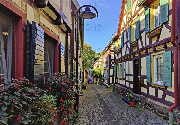 Enge gasse with half-timbered houses in the old town of Unkel, Rotweinstadt, Neuwied district,