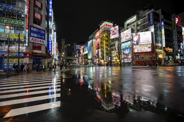 Street and neon sign, street scene at night, Tokyo, Japan