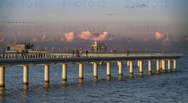 New 720-meter long pier in Prerow opened since October 2024, flying cranes (Grus grus) in the