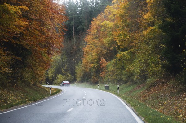 Mixed forest in autumn colors in Franconia on the B2 Nuremberg-Bayreuth, Upper Franconia, Bavaria,