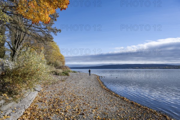 Gravel shore, pebble beach, Lake Constance shore at Mettnaupark near Radolfzell am Lake Constance,