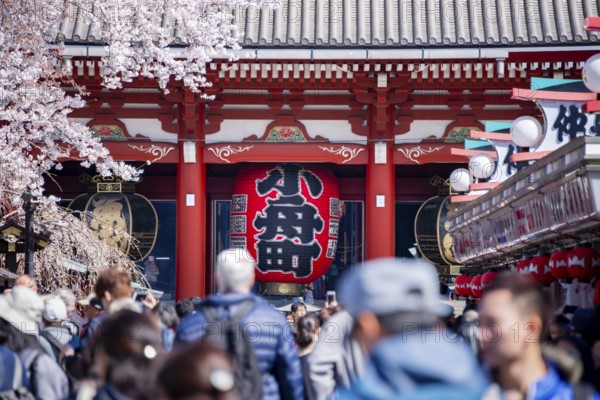 View of numerous visitors on Nakamise-dori shopping street with Hozomon Gate of Asakusa Shrine or