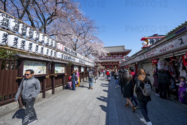 Nakamise-dori shopping street with lanterns, Hozomon Gate of Asakusa Shrine or Senso-ji Temple,