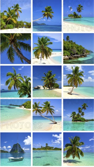 Collage of tropical islands with beach and palm trees, paradise with blue cloudy sky, turquoise
