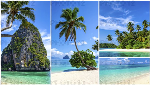 Collage of tropical islands with beach and palm trees, paradise with blue cloudy sky, turquoise