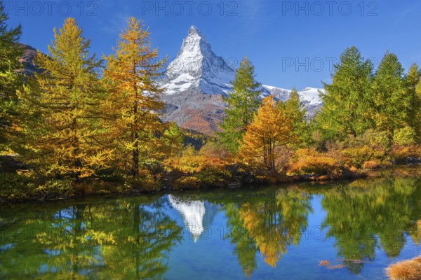 Matterhorn 4478 m with reflection in Lake Grindji in autumn, Zermatt, Mattertal, Valais,