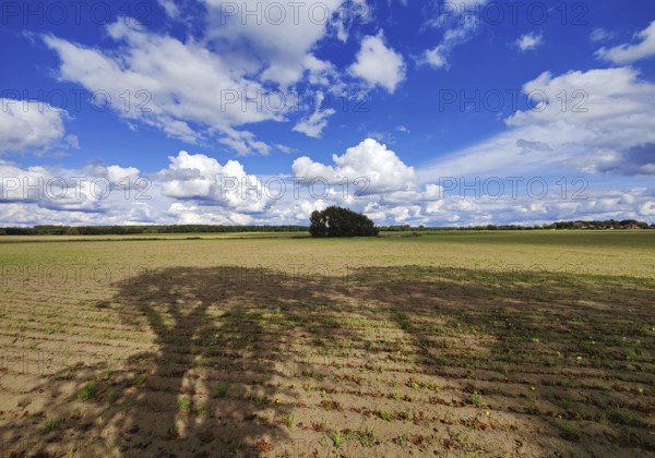 Cultural landscape, Sonnenberg municipality, Oberhavel district, Brandenburg, Germany