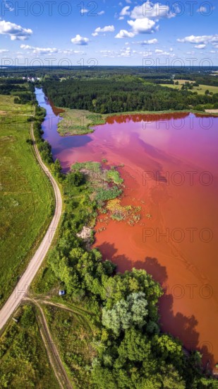 Red algae plant on the lake. abstract ecology nature concept, wild landscape with vibrant red