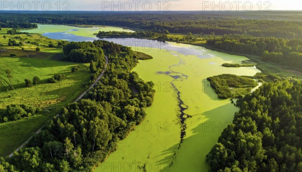 Green algae on the lake. Aerial view of nature, landscape with hills and forest in summer, cloudy